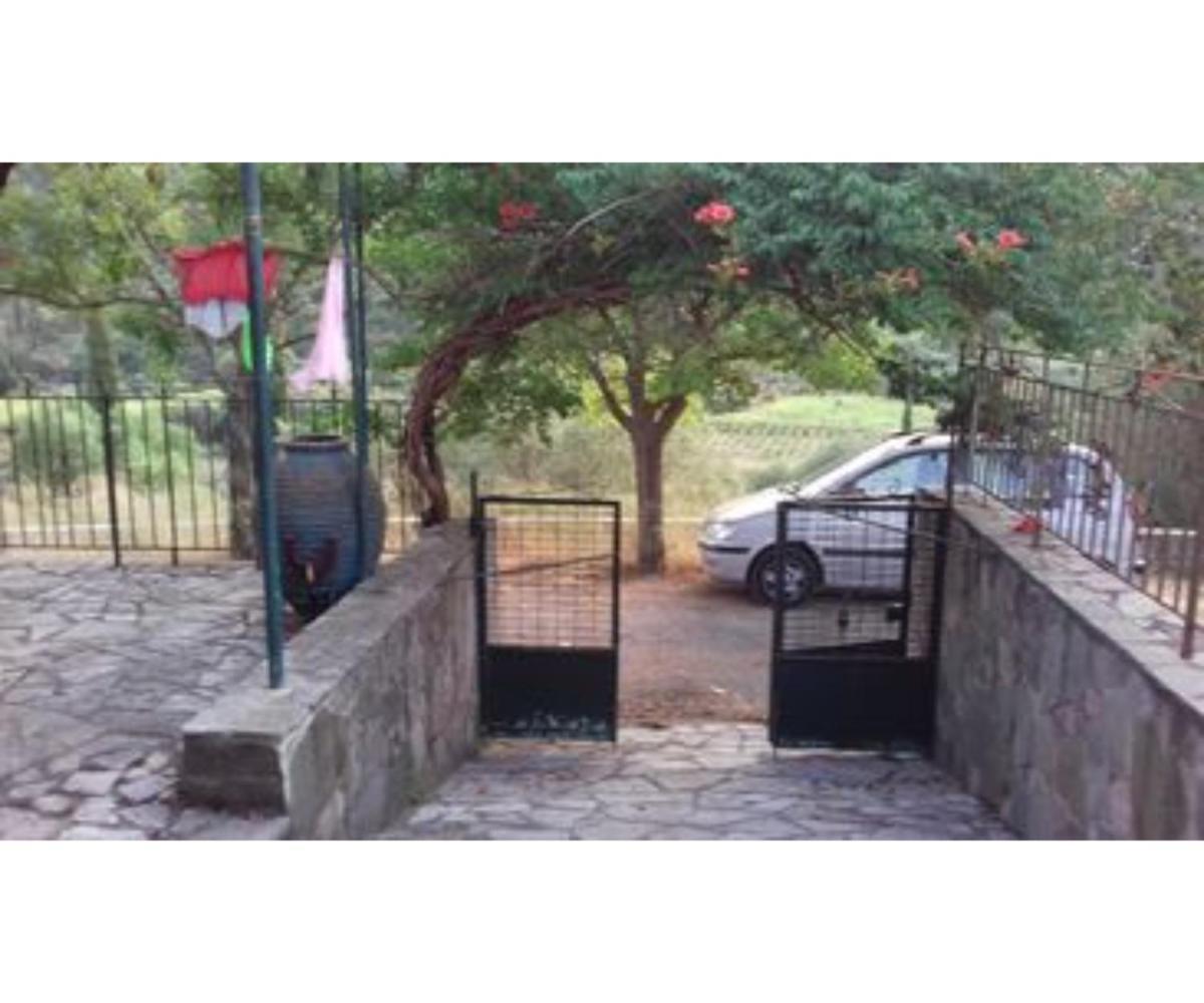 My Vacations Nature House