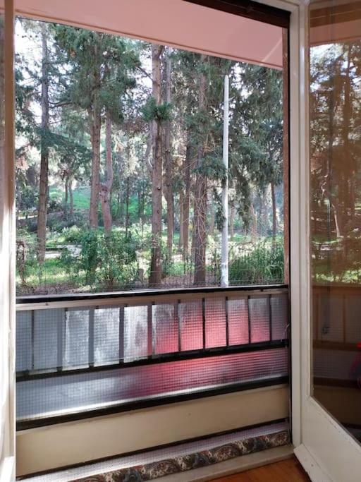 Park-view Apartment