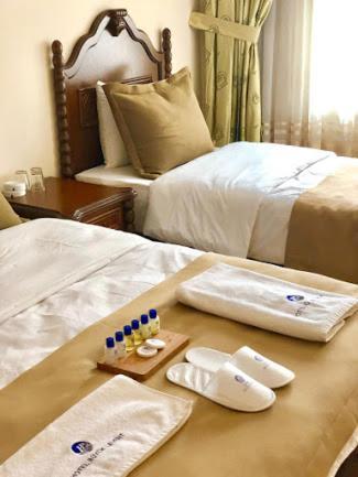Hotel Buyuk Levent