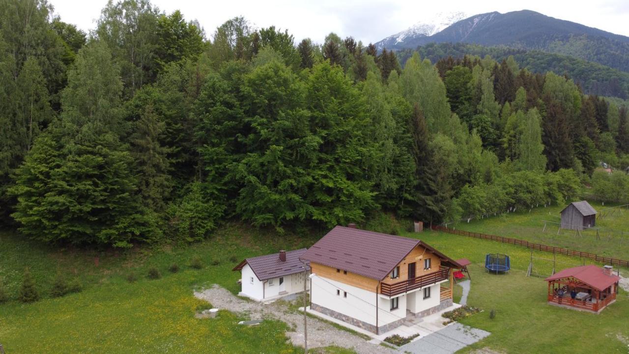 Pensiunea Floare de Colt