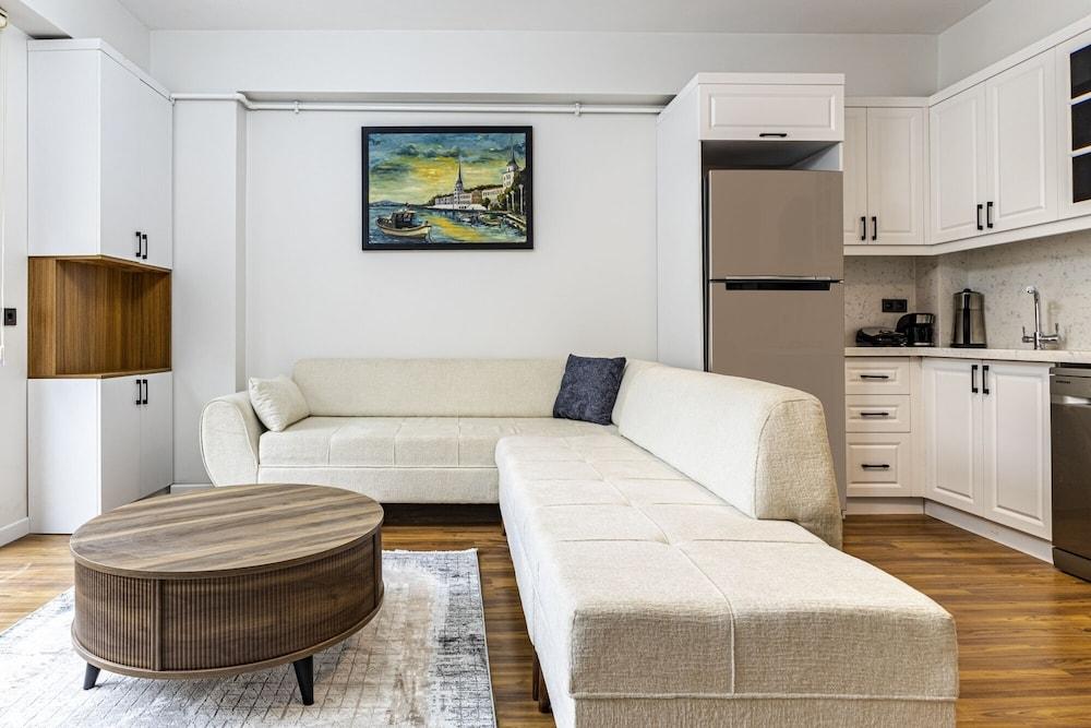 Modern Furnished Comfy 2 1 Flat In Sisli