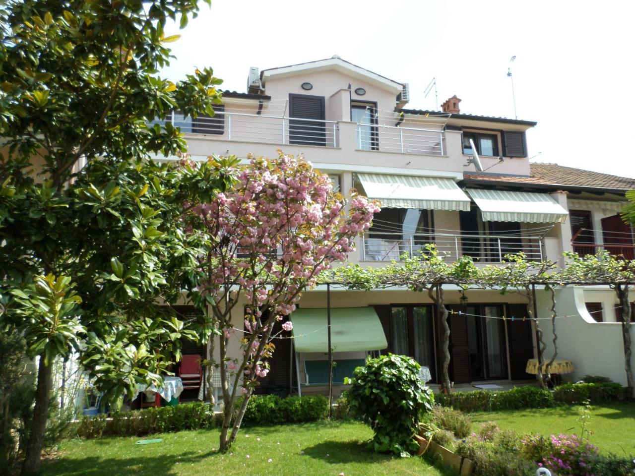 Kamelija