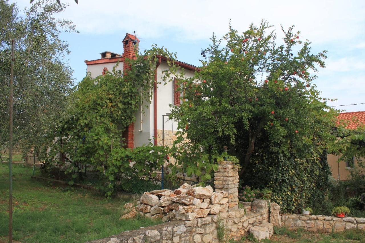 Apartments With A Parking Space Ugljan 8527