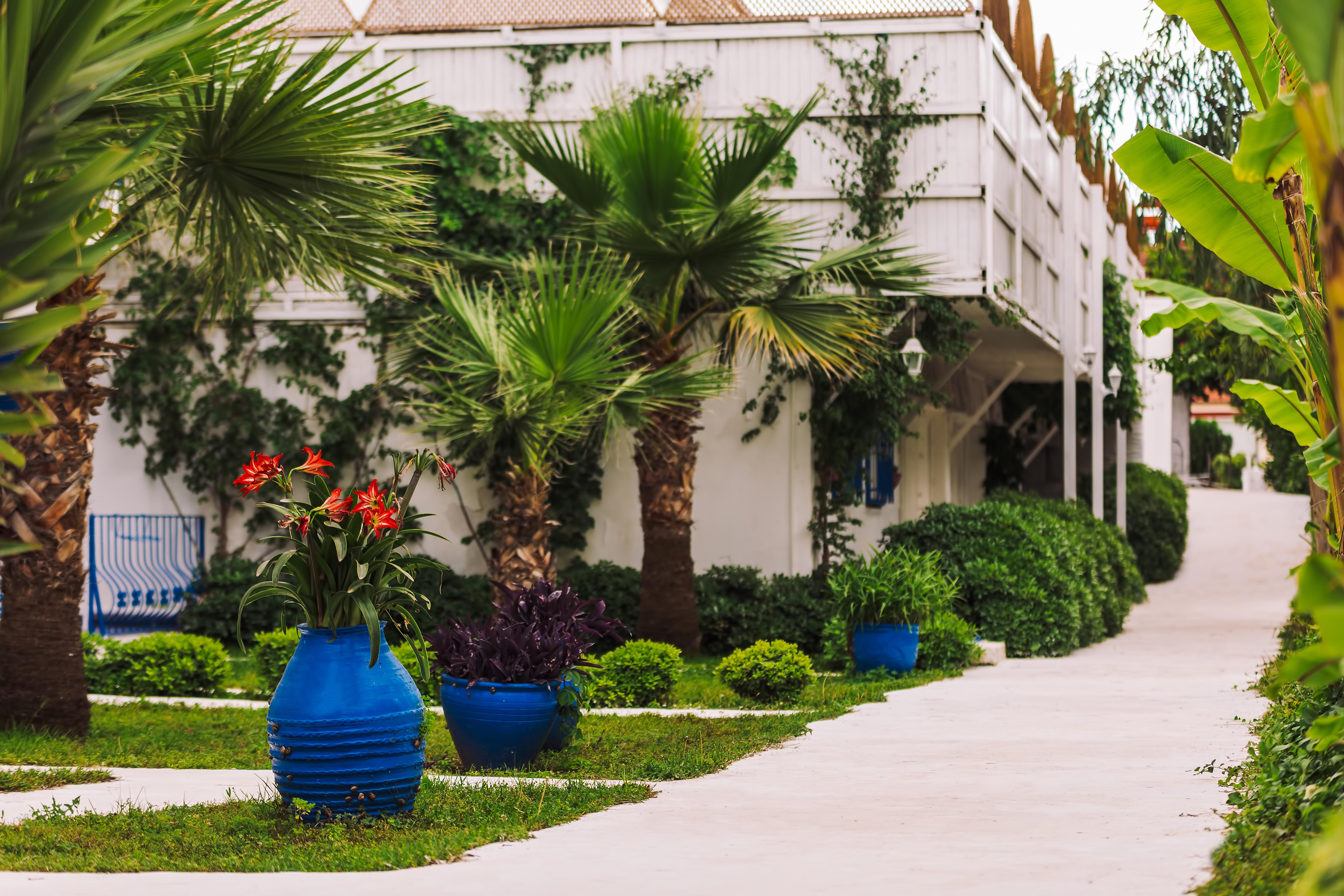 Monta Verde Hotels & Villas
