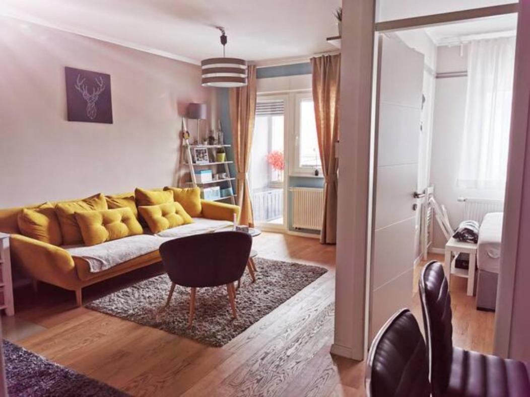 New Elegant Apartment With Free Parking & Wifi