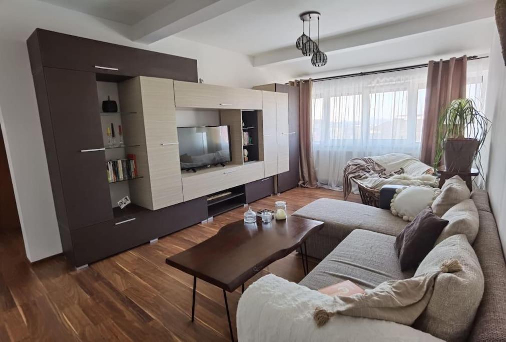 Apartament In Timisoara