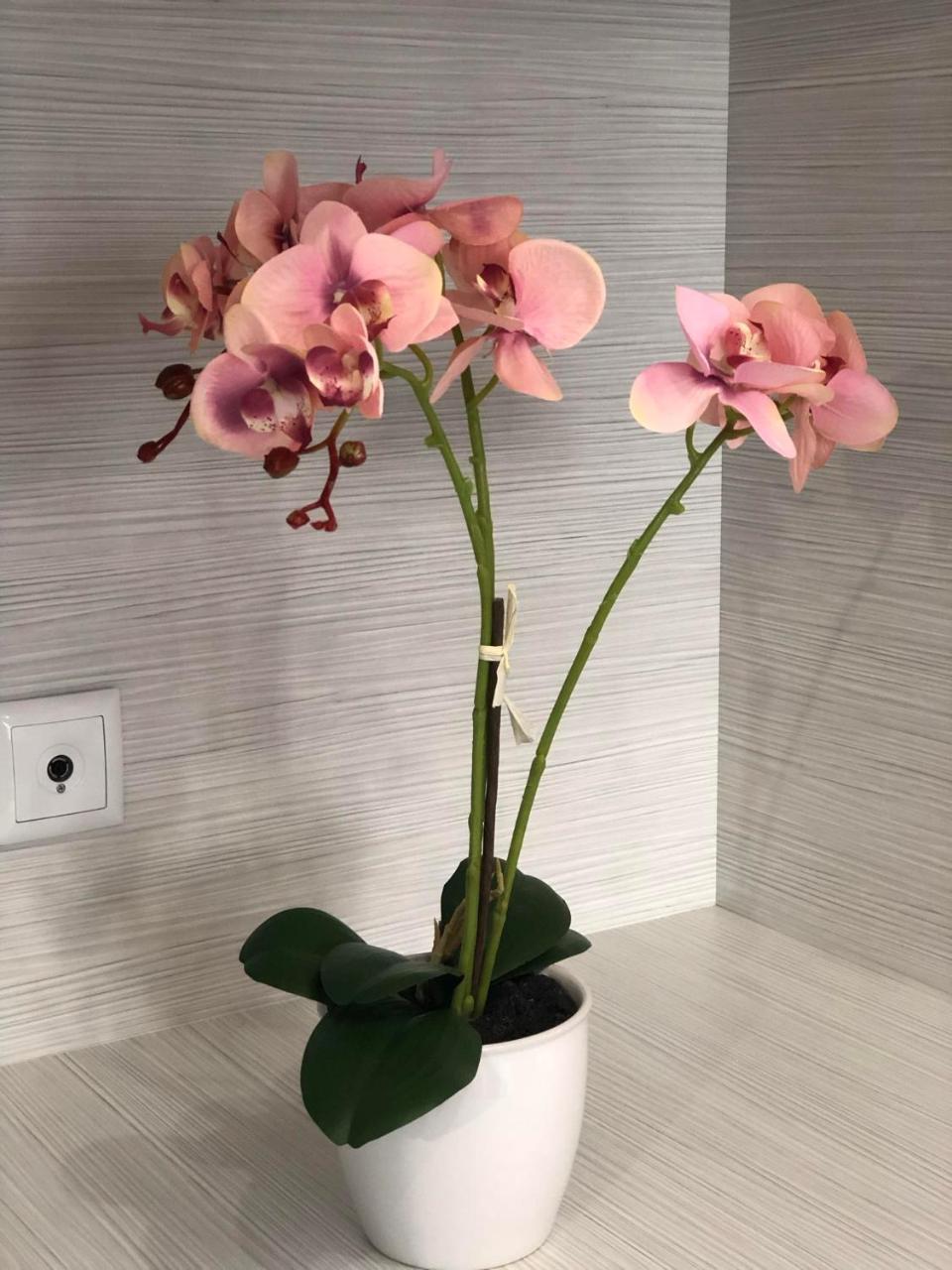 Aktia Apartment, Preveza