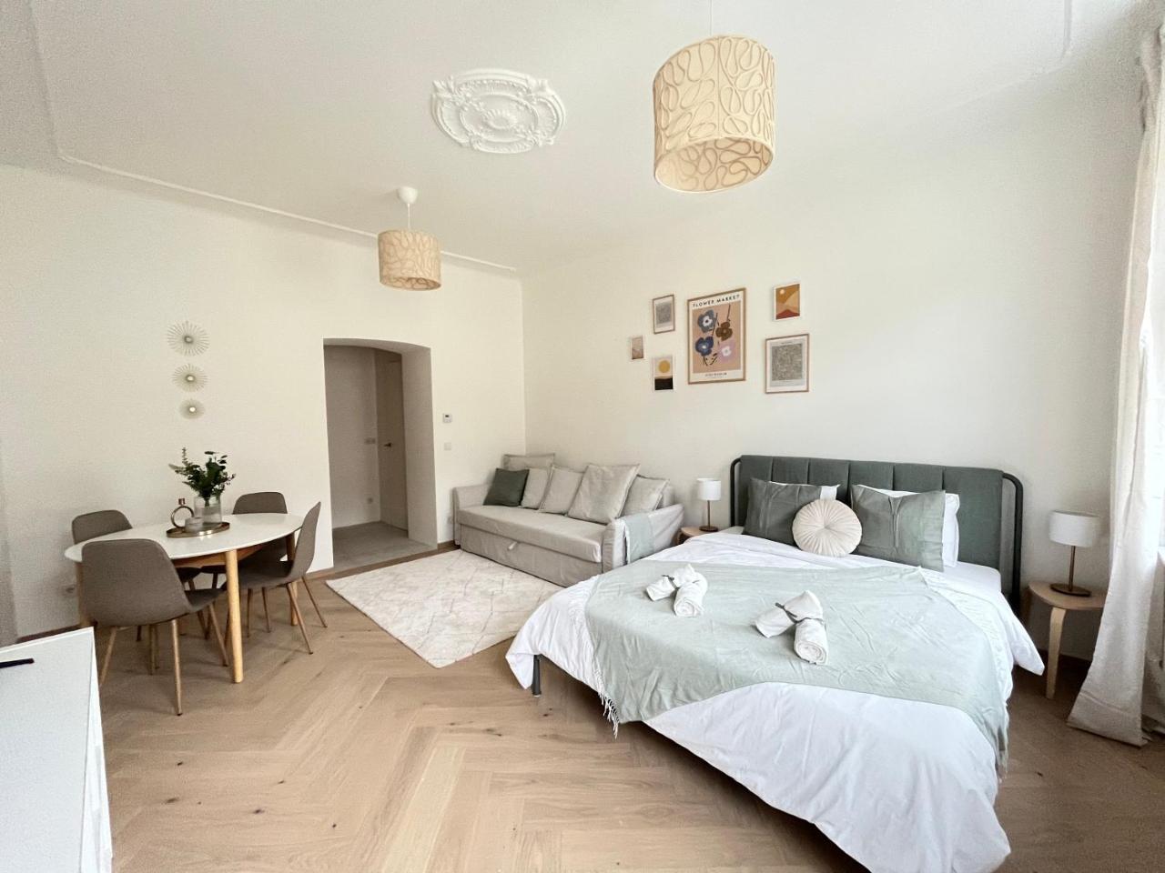 Luxurious One Room Apartment Near Schonbrunn Palace