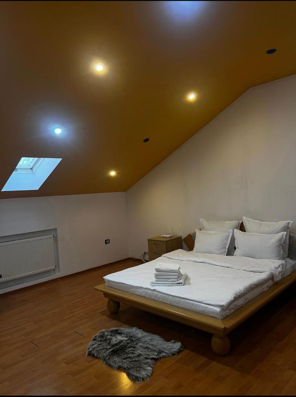 Apartament Central Timisoara