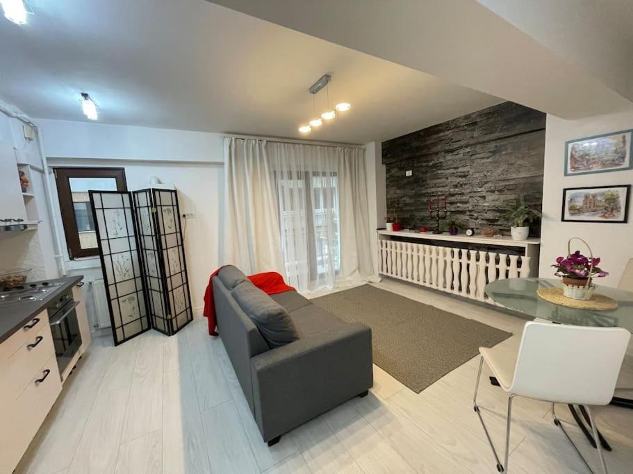 Apartament 2 Camere Mogosoaia
