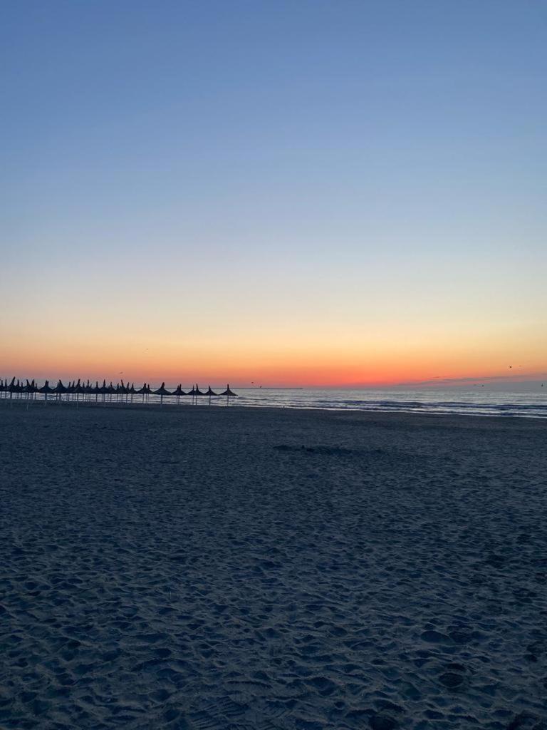 Seaview Oasis
