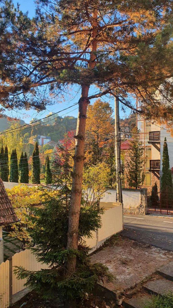 Central Luxury Apartment With City View