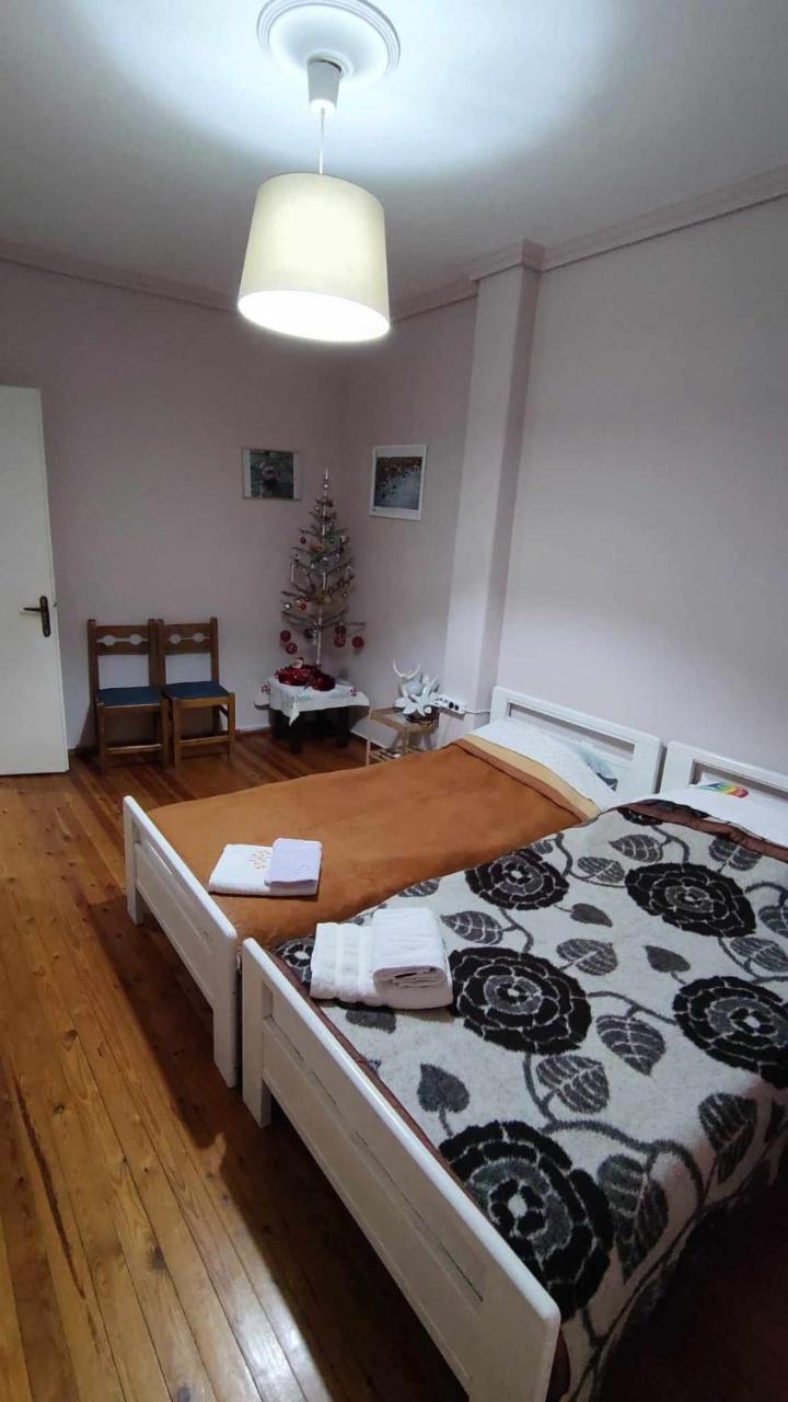 Ritsa Apartment