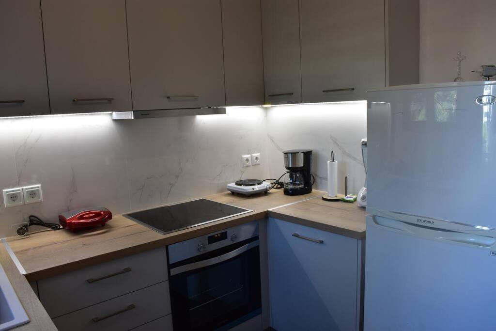 Seashell Apartment Near The Beach