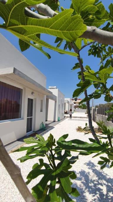 Sun Kiss Houses