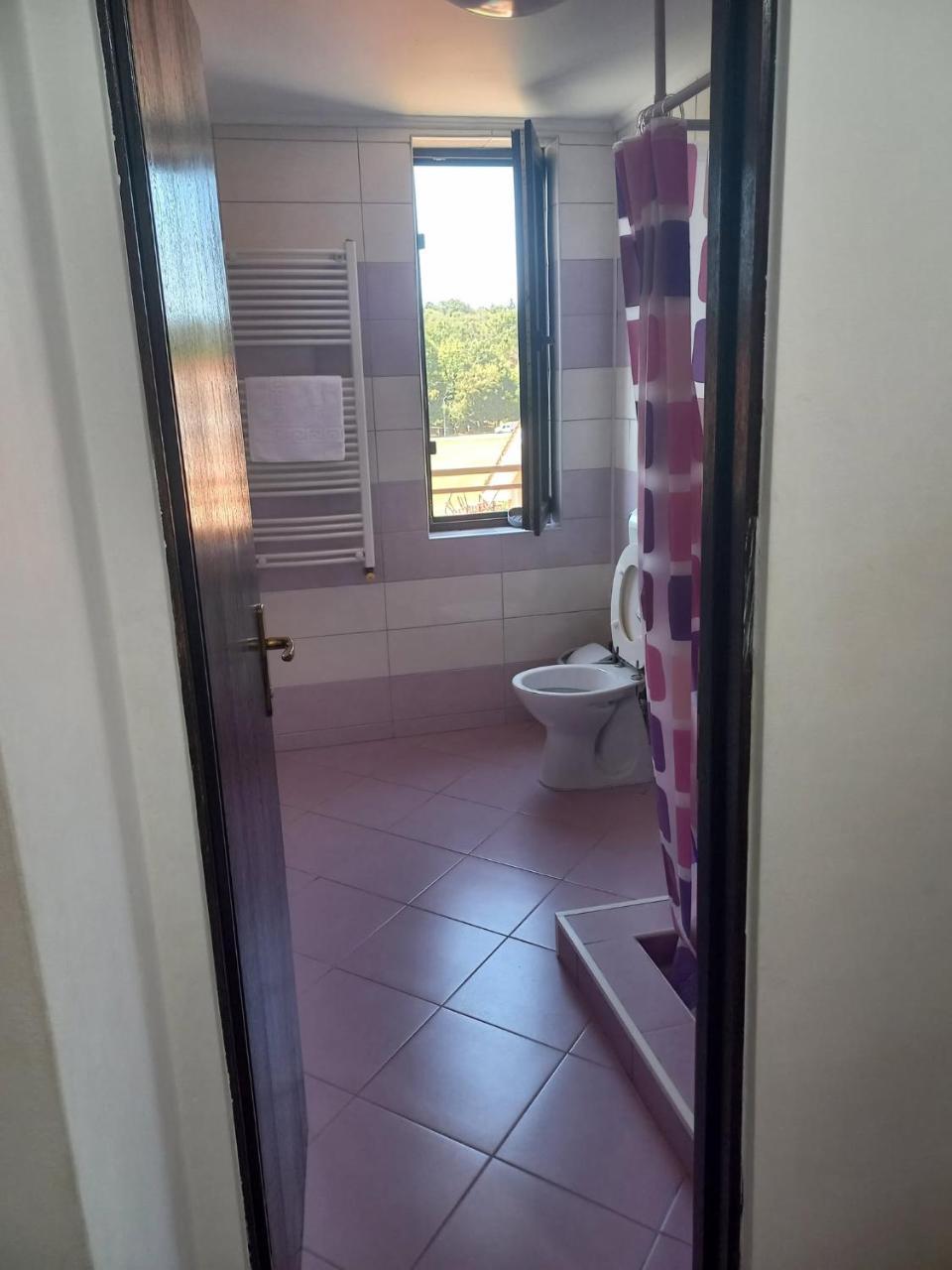 Pensiunea Apartamente 9-resedinta Felix