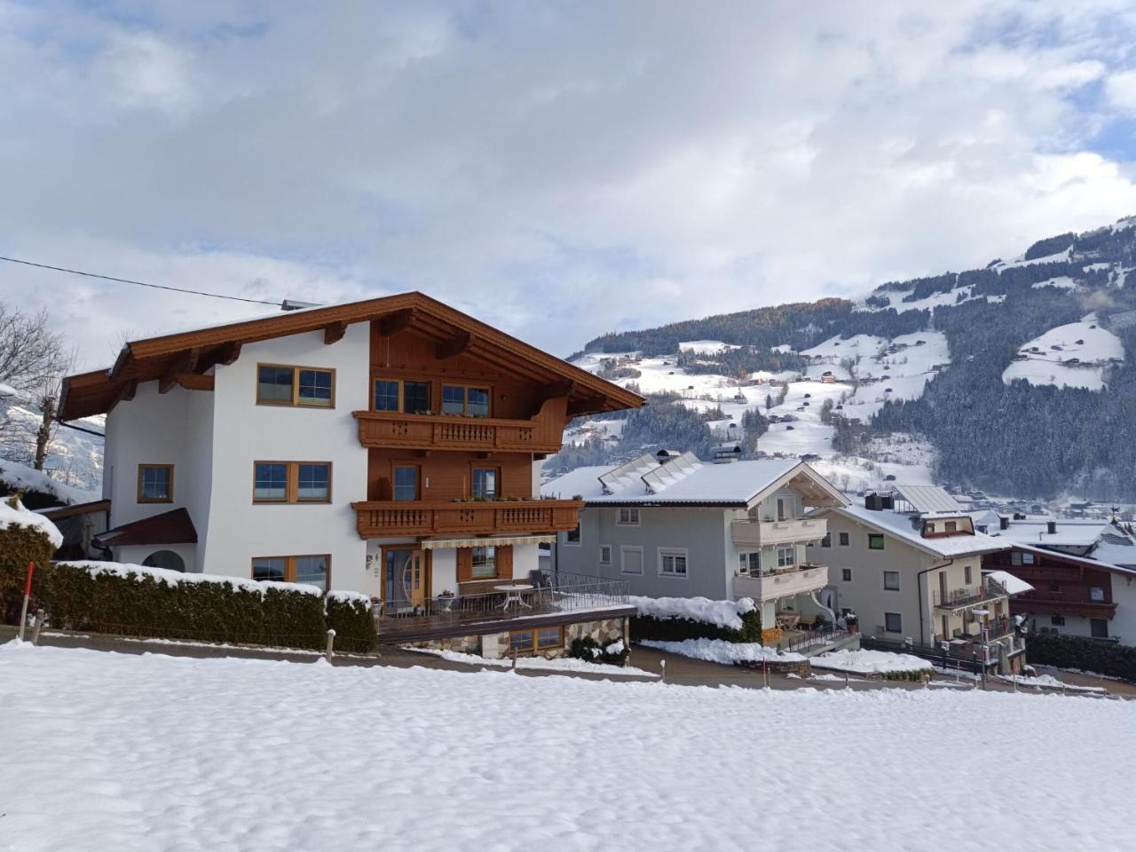 Great Apartment Near The Ski Area
