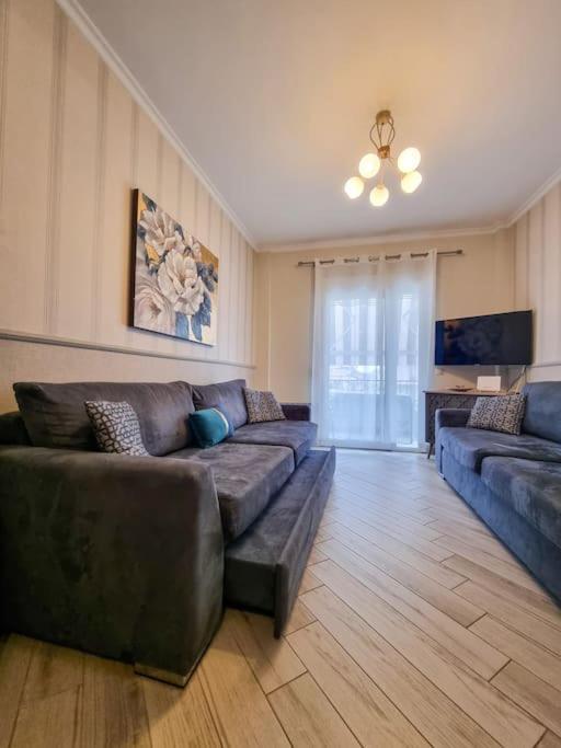 Luxury & Modern Apartment