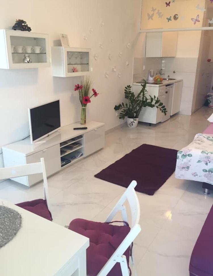 Cute Studio-great Location