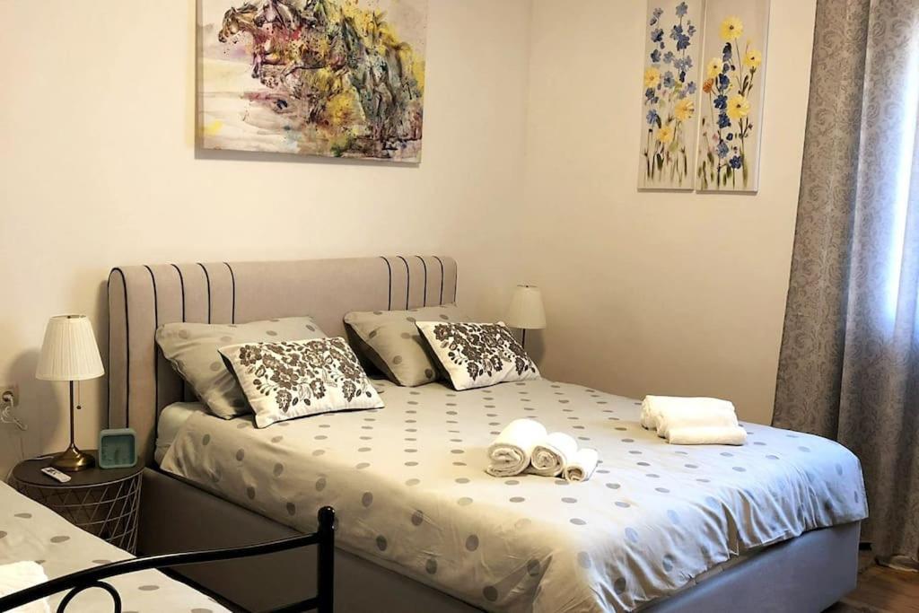 Lijepo Ureen Stan U Centru Grada