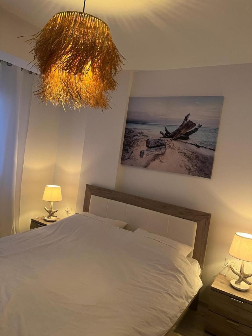 Fun & Sun Apartment Navodari
