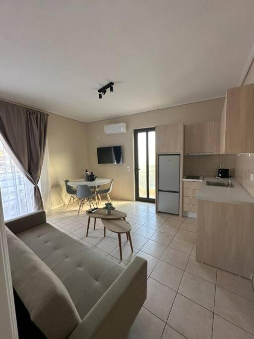 Minimalist Athenian Apartments N7
