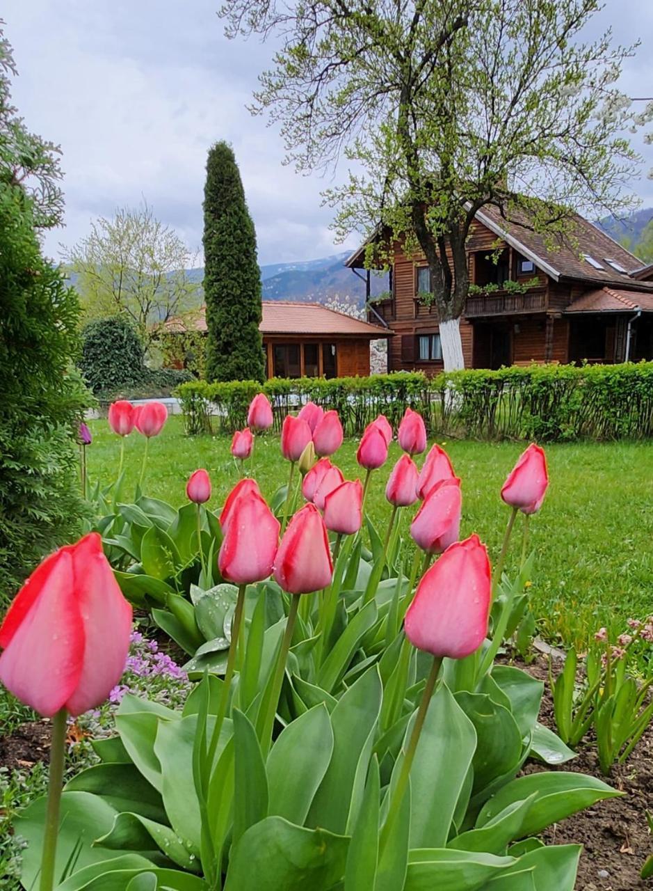 Casa Amalia Tocile Sadu