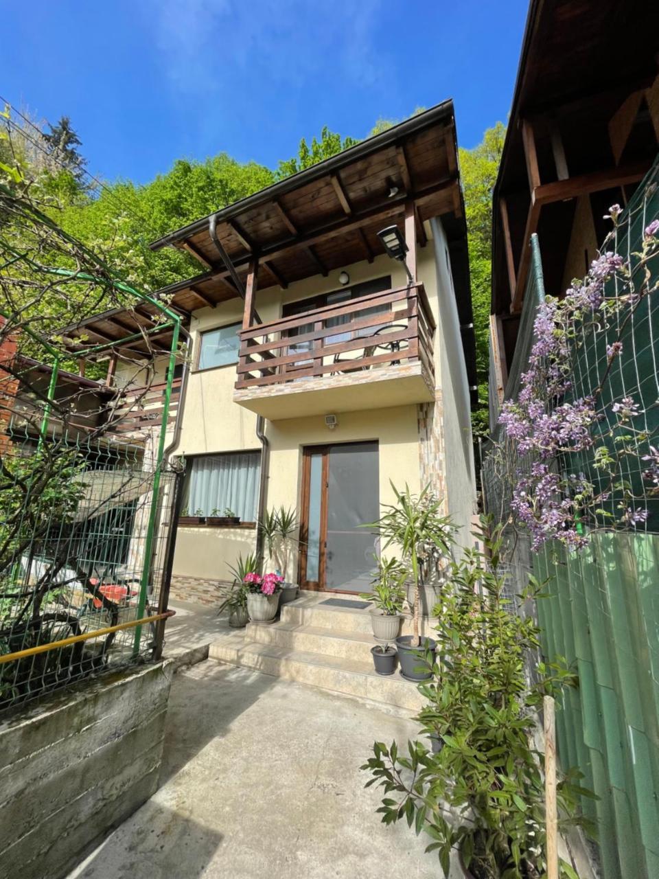Casa Din Padure