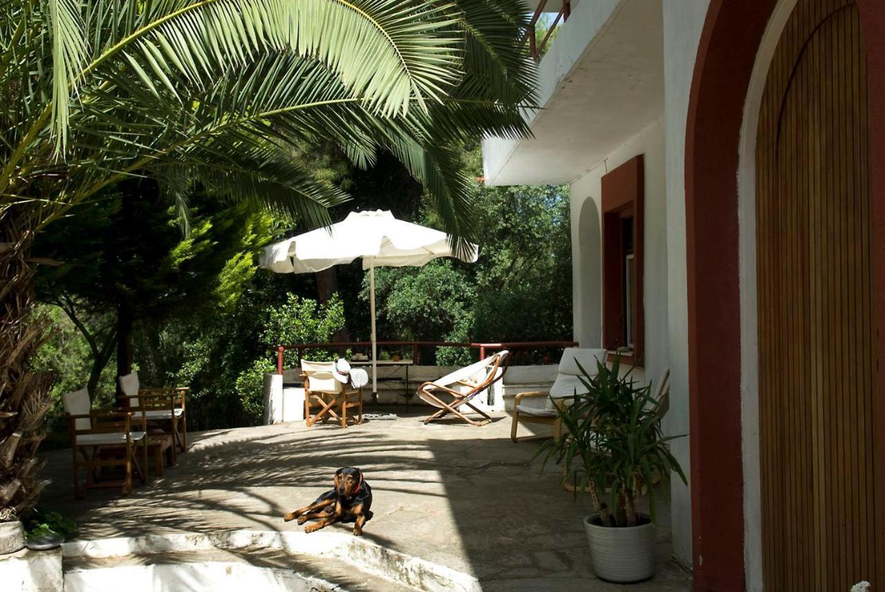 Spacious Villa Close To An Amazing Sithonia Beach