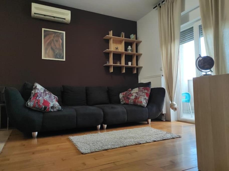 Anthurium Selfcheckin Nomad