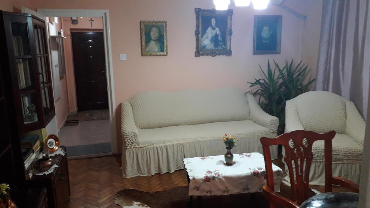 Cozy, Central 1-bedroom Apartment In Timisoara, Romania