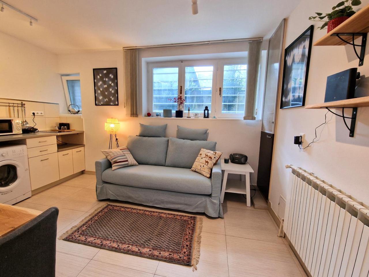 Artistic Apartment In Center