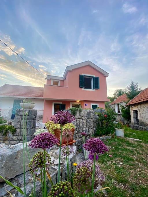 Flower House In Kozica