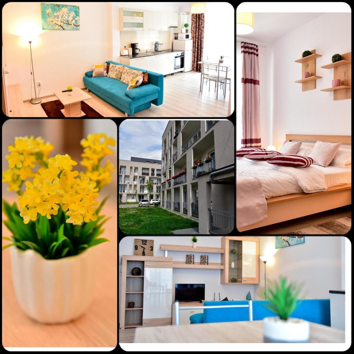 Flh Apartament Central Silva