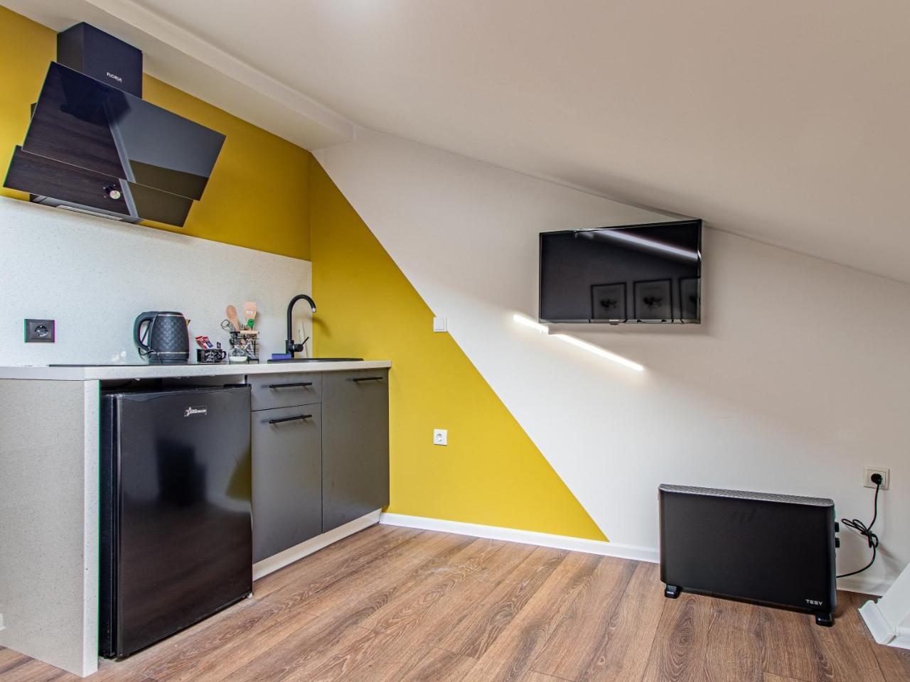 Vazov Loft Central Sofia Studio