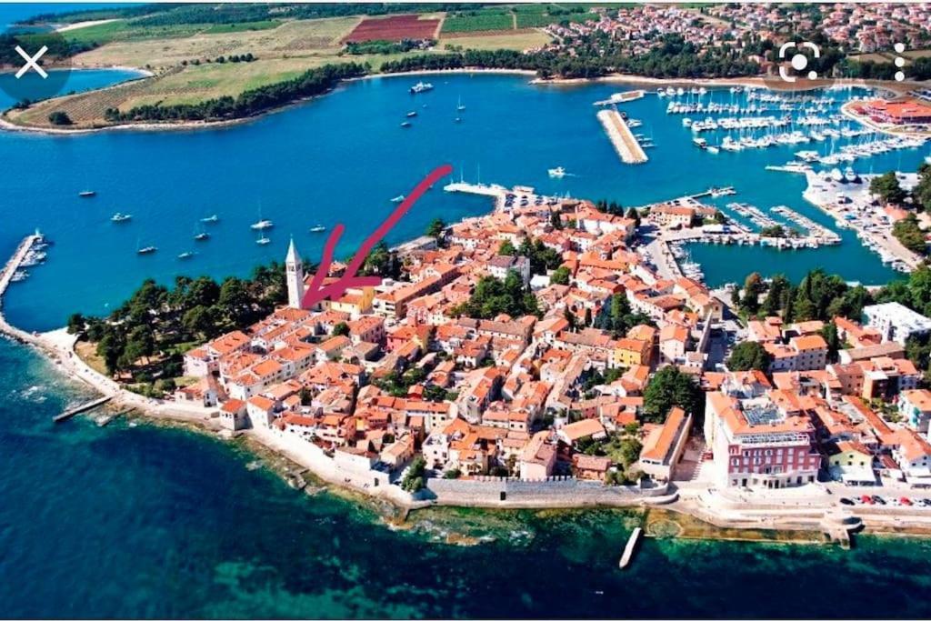 Casa Manzoni Old Town-novigrad 20 M From The Sea