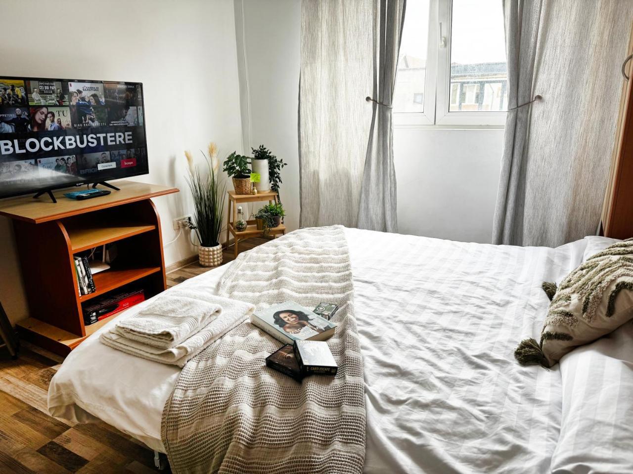 Cozy Studio Apartment