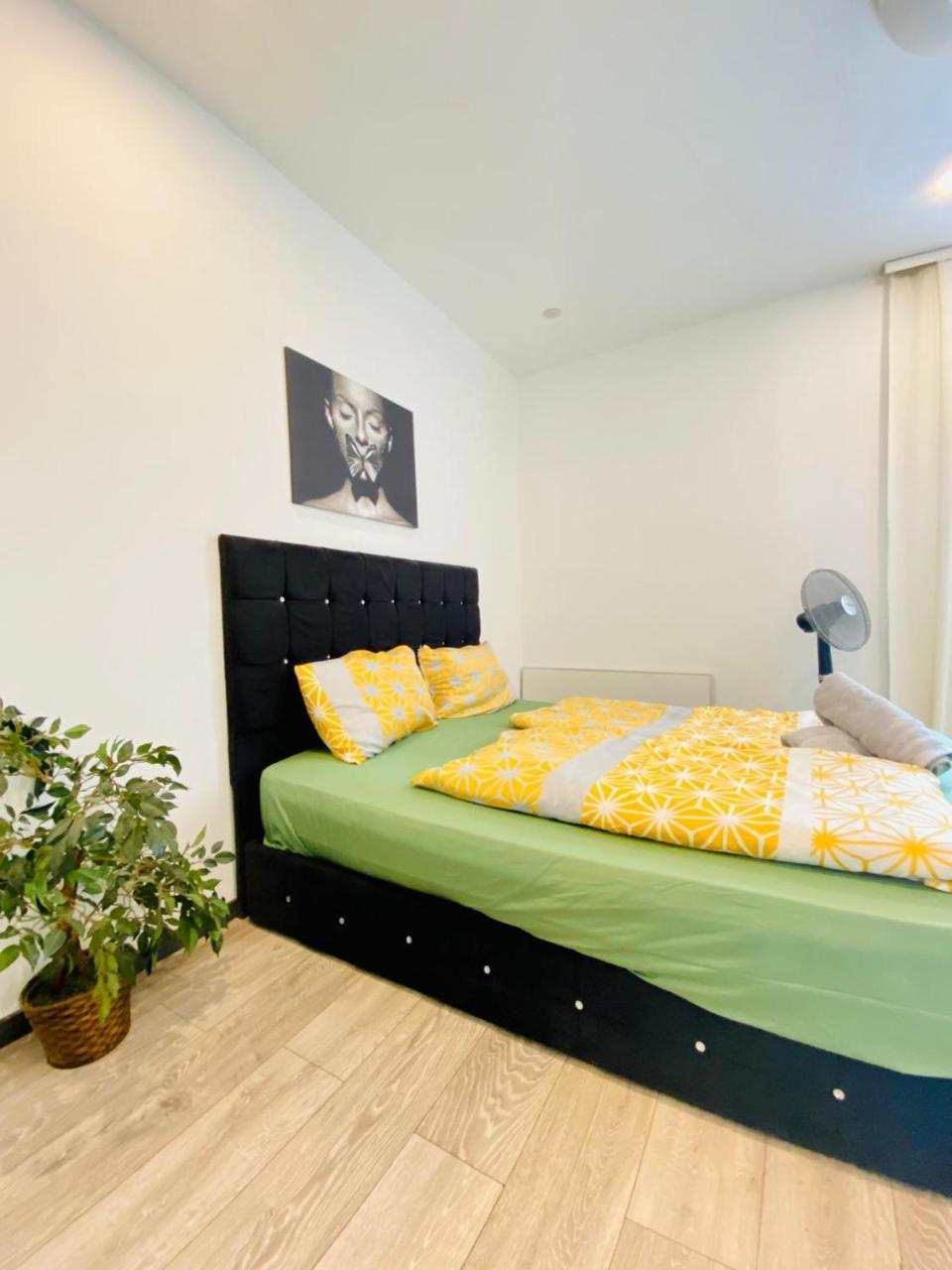 Cute 1br Apt 10 Mins Walk From Downtown
