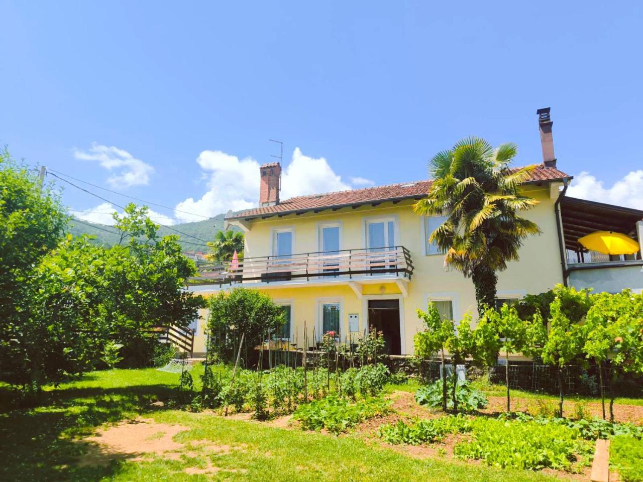 Studio Apartment Puzich