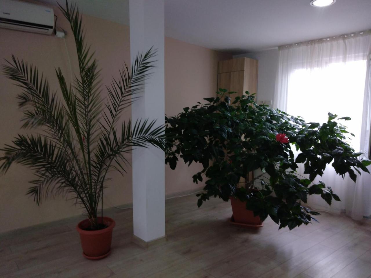 Casa Rusu