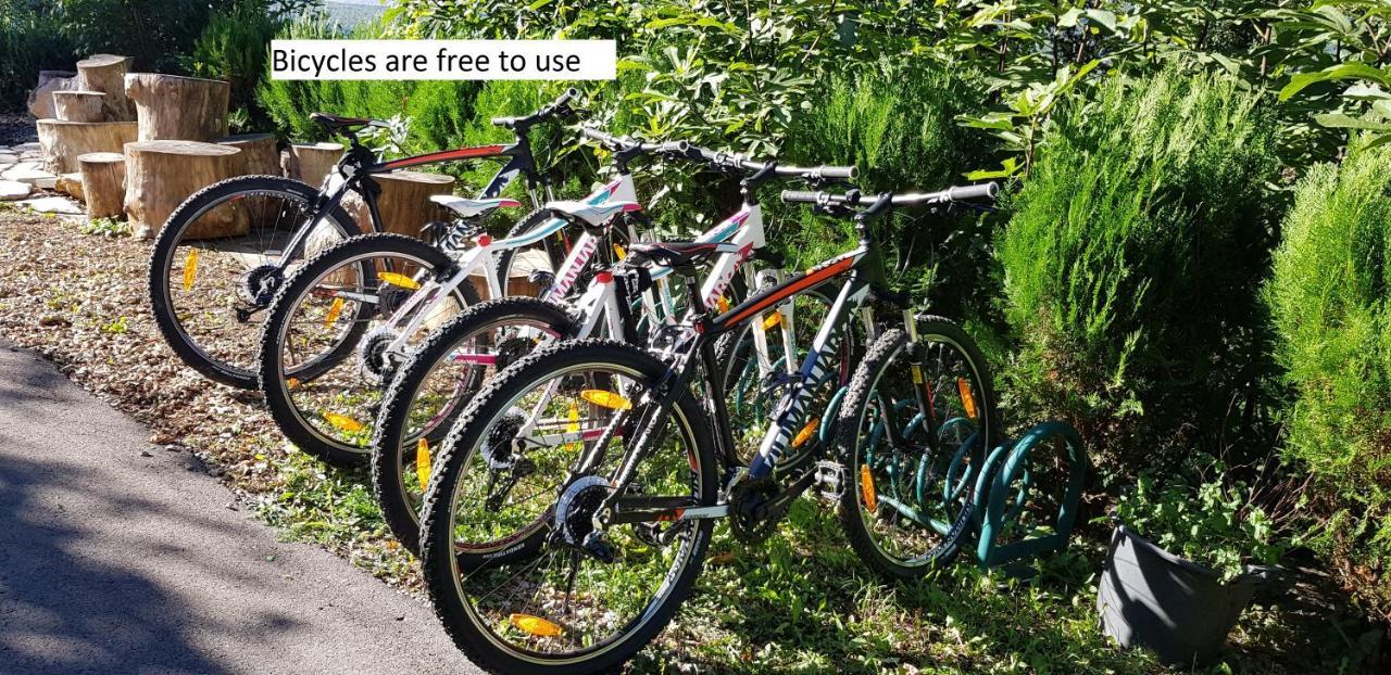 Apartments Cvitini Dvori Garjak