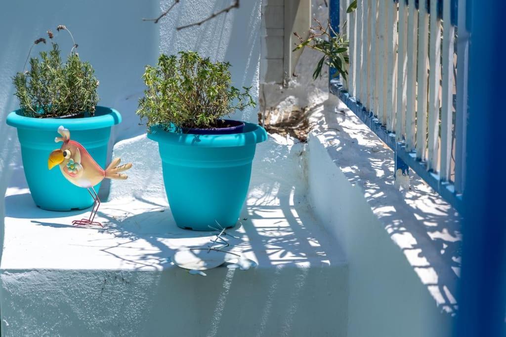Sofia Summer House Salamina