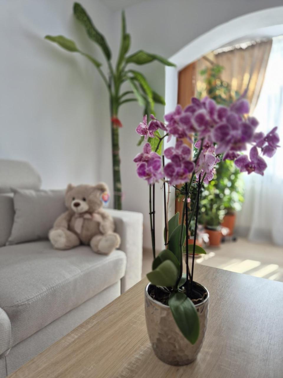 Apartament Oprea