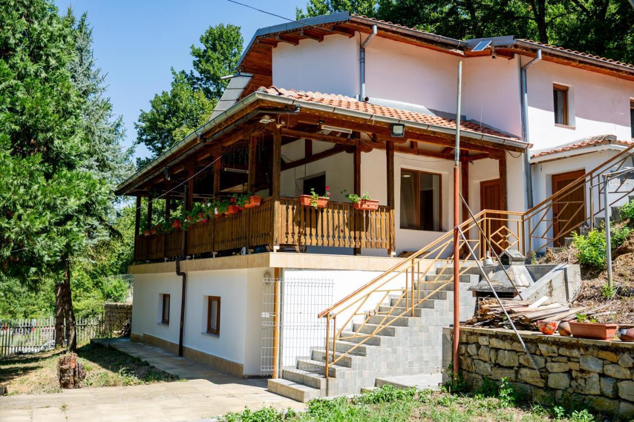 Stai Za Gosti Aerbul I Priqteli