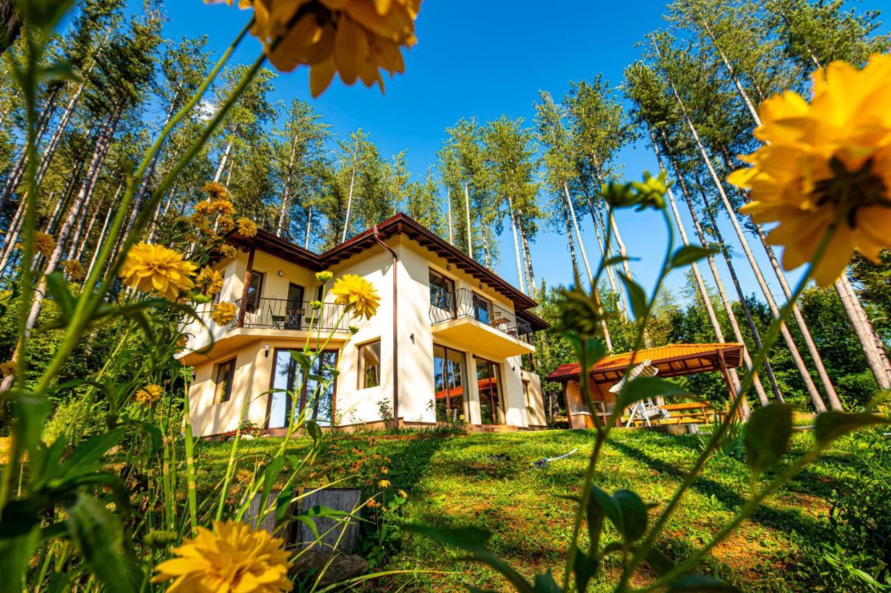 Kyshta Za Gosti Hepi