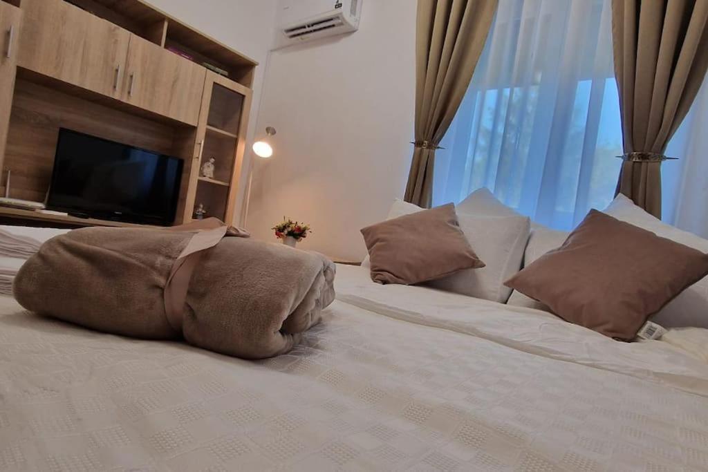 Studio Mic Si Cochet In Centru Cu Mic Dejun Inclus