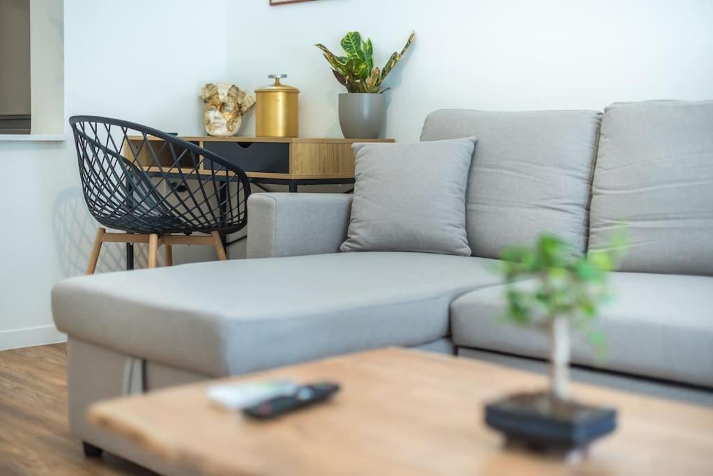 Zen-big Space, Pangrati