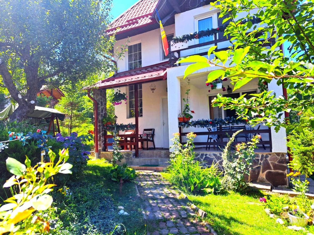 Vila Mikdonia Predelut Home