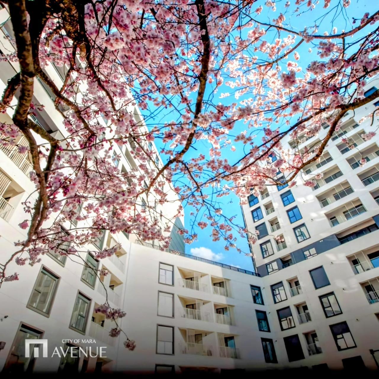 Avenue Of Mara Ultracentral Studio Deluxe, Plus Free Parking