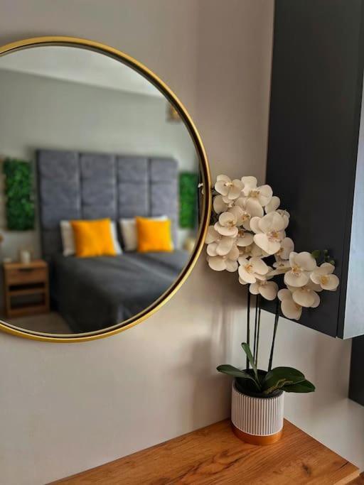 Butikovo Studio Utopia